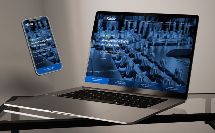  Birikim Pilleri Web Tasarım   